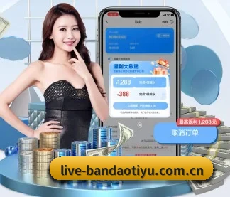 未来布局 - AI 与大数据深度融合,为用户提供个性化的智能服务。